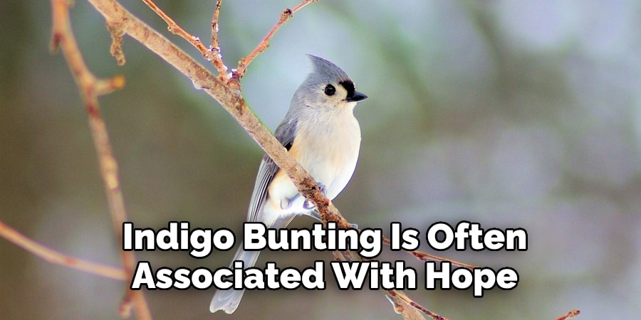 Indigo Bunting Is Often Associated With Hope