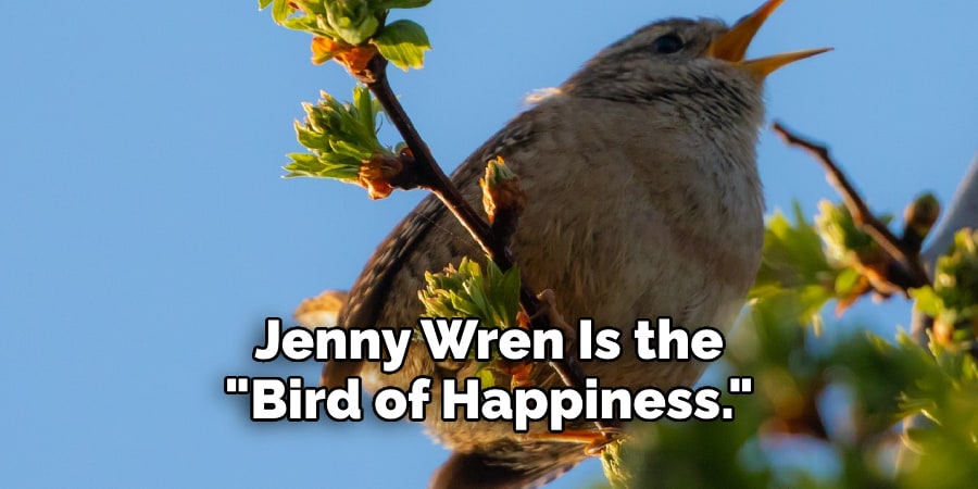 Jenny Wren Is the  "Bird of Happiness."