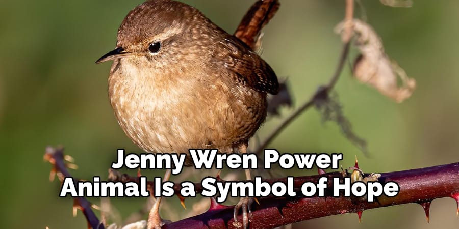 Jenny Wren Power  Animal Is a Symbol of Hope 