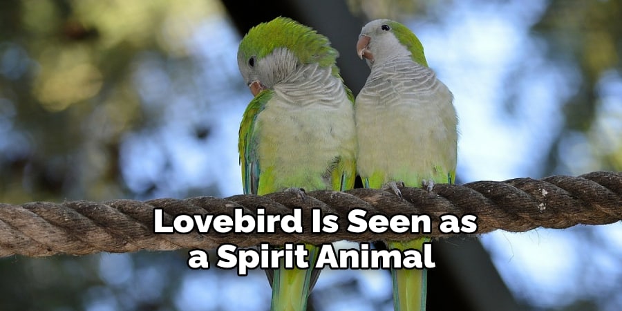  Lovebird Is Seen as a Spirit Animal 