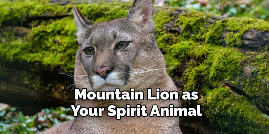 Mountain Lion as Your Spirit Animal