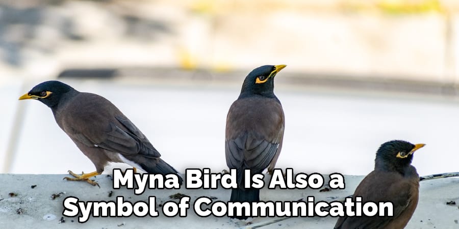 Myna Bird Is Also a Symbol of Communication