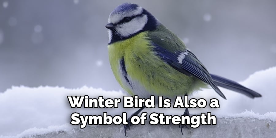 Winter Bird Is Also a Symbol of Strength