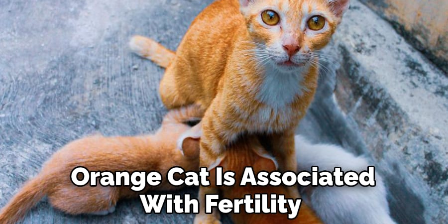 Orange Cat Is Associated With Fertility 