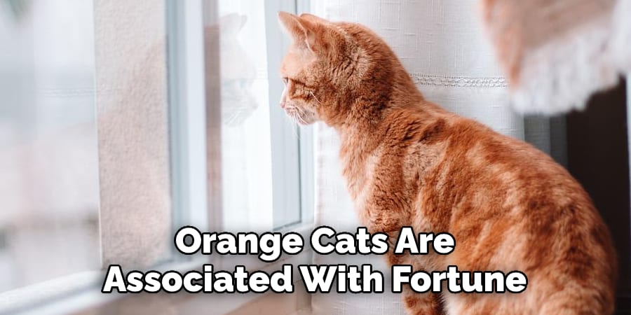 Orange Cats Are Associated  With Good Luck and Fortune