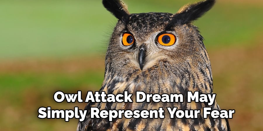 Owl Attack Dream May  Simply Represent Your Fear