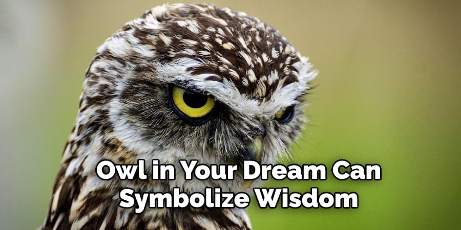 Owl in Your Dream Can  Symbolize Wisdom