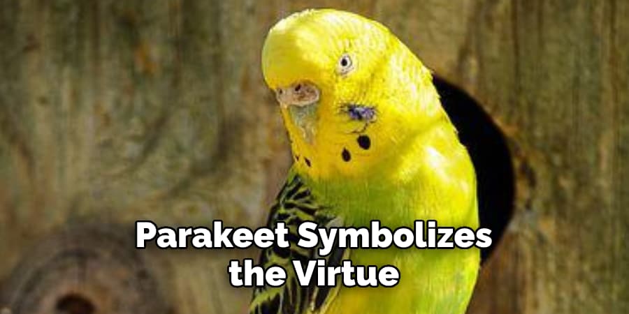 Parakeet Is Seen as a Symbol of Good Luck