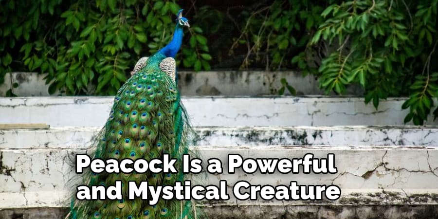 Peacock Is a Powerful and Mystical Creature