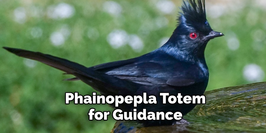 Phainopepla Totem for Guidance