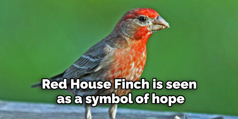 Red House Finch is seen  as a symbol of hope