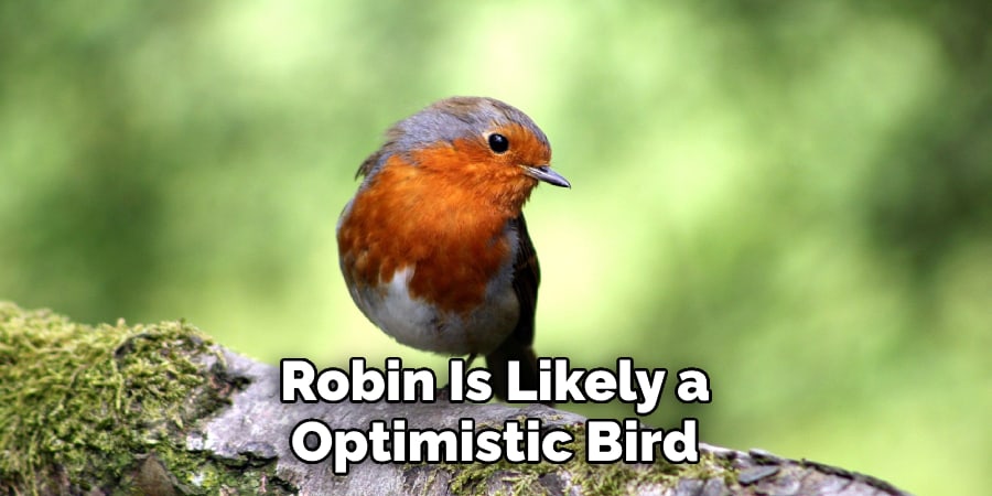 Robin Is Likely a Optimistic Bird