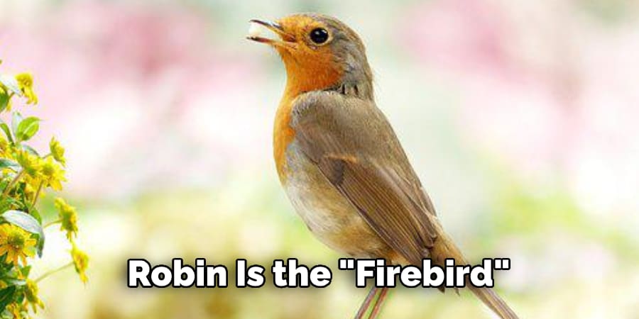 Robin Is the "Firebird"