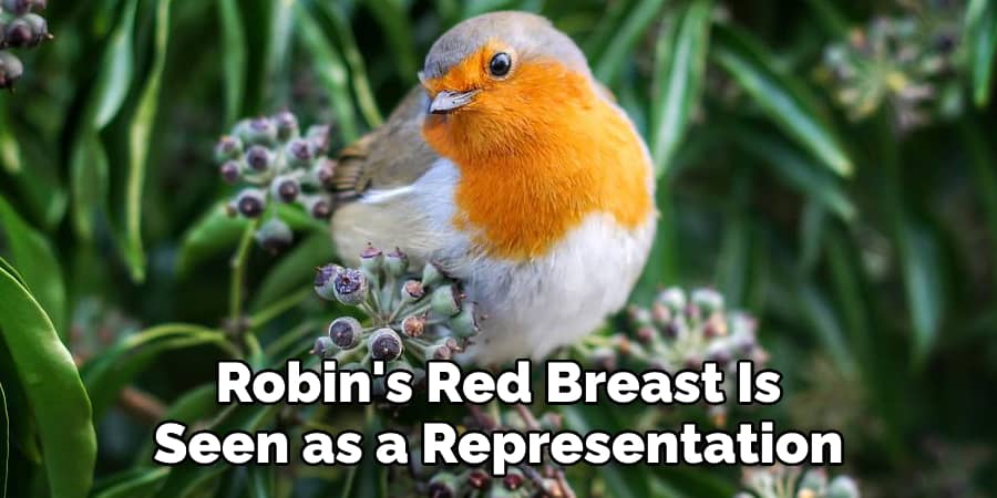 Robin's Red Breast Is  Seen as a Representation