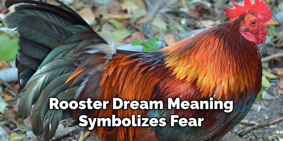 Rooster Dream Meaning Symbolizes Fear