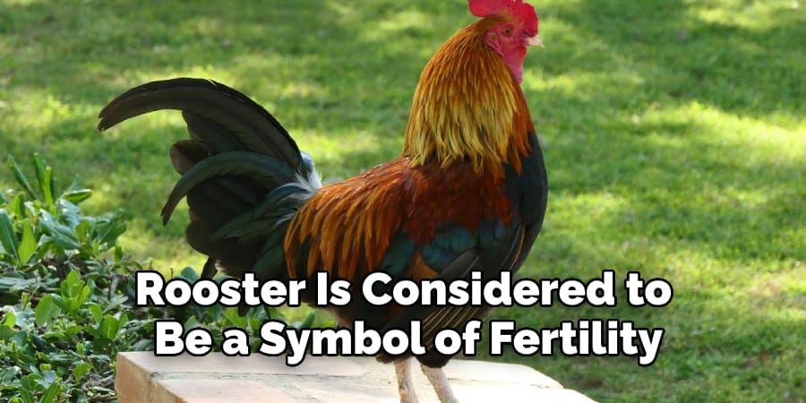 Rooster Is Considered to  Be a Symbol of Fertility