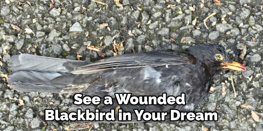 See a Wounded  Blackbird in Your Dream