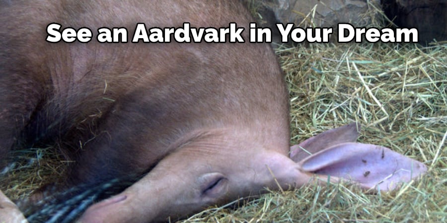  See an Aardvark in Your Dream