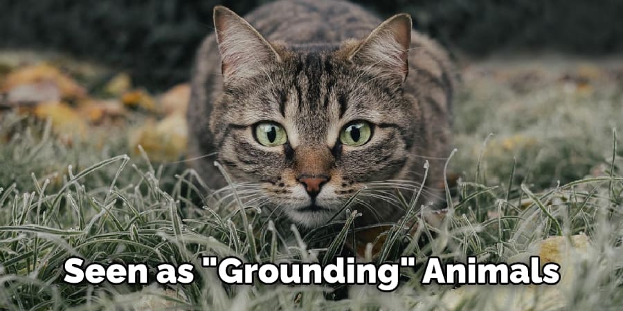 Seen as "Grounding" Animals