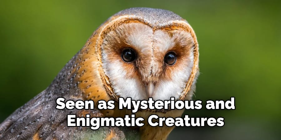Seen as Mysterious and  Enigmatic Creatures