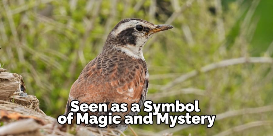Seen as a Symbol of Magic and Mystery