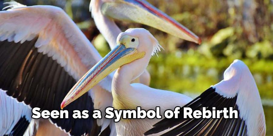 Seen as a Symbol of Rebirth