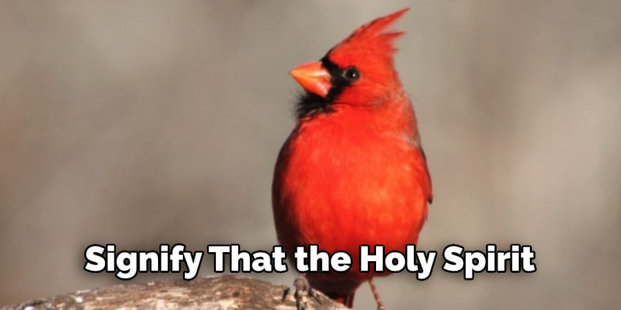 Signify That the Holy Spirit