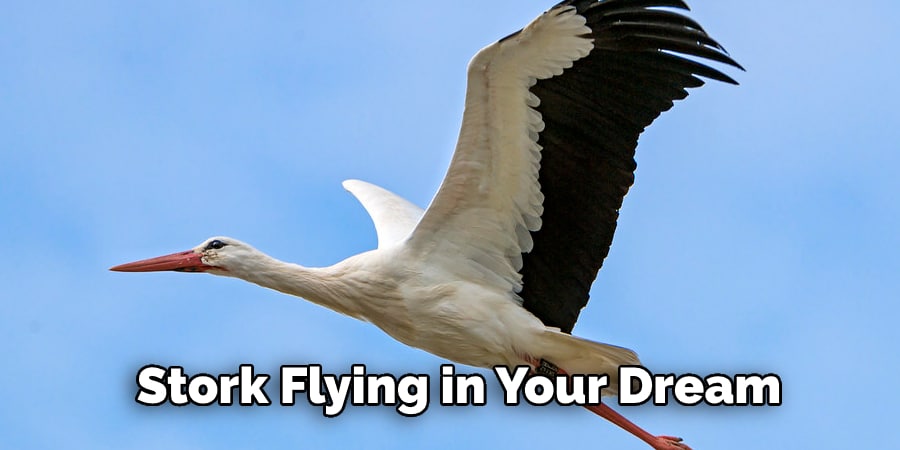 Stork Flying in Your Dream