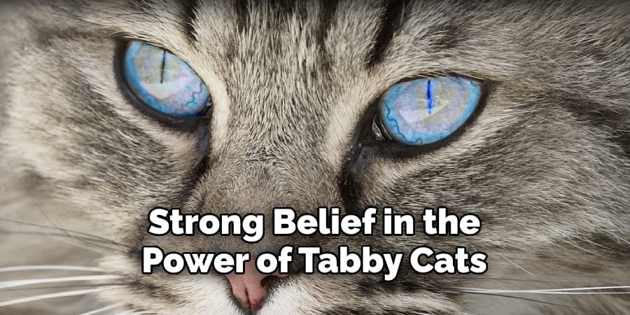 Strong Belief in the Power of Tabby Cats