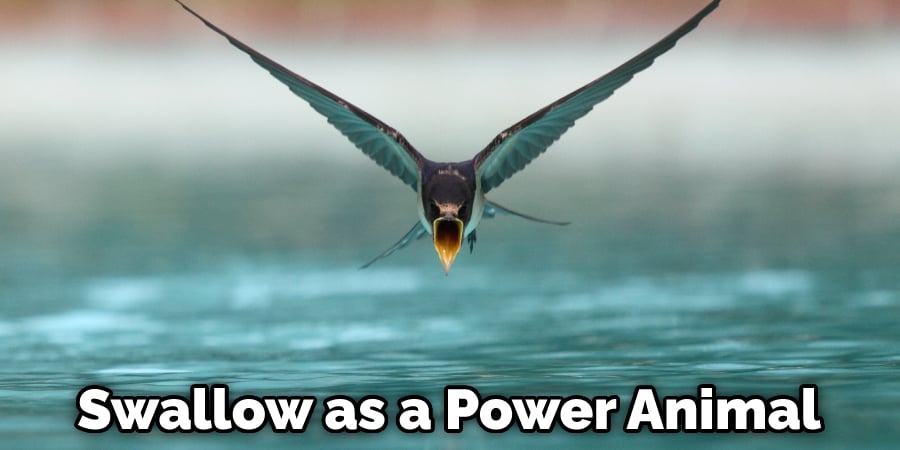 Swallow as a Power Animal