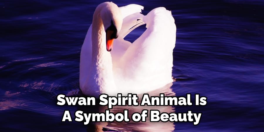 Swan Spirit Animal Is A Symbol of Beauty