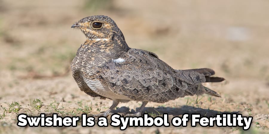 Swisher Is a Symbol of Fertility
