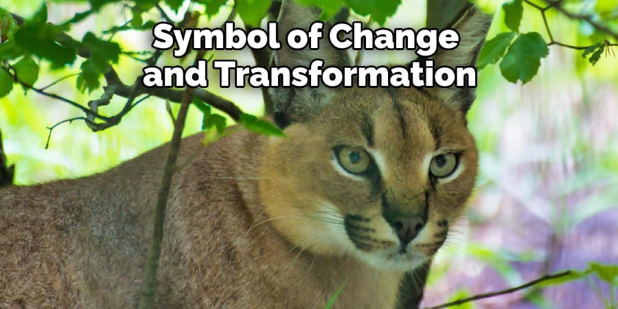 Symbol of Change and Transformation