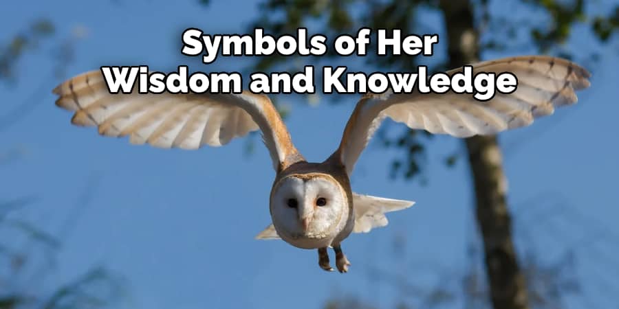 Symbols of Her Wisdom and Knowledge