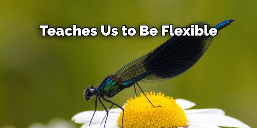 Teaches Us to Be Flexible