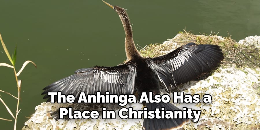 The Anhinga Also Has a Place in Christianity