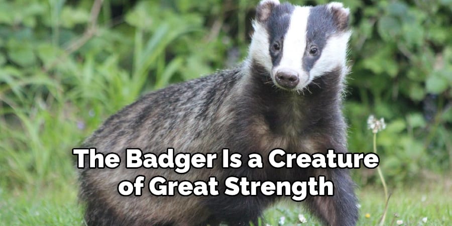 The Badger Is a Creature of  Great Strength and Determination