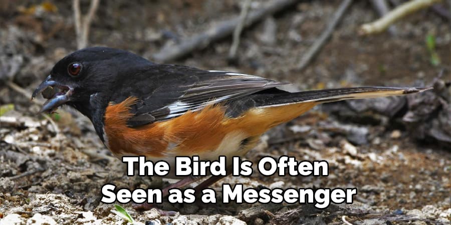 The Bird Is Often Seen as a Messenger