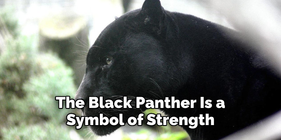 The Black Panther Is a Symbol of Strength
