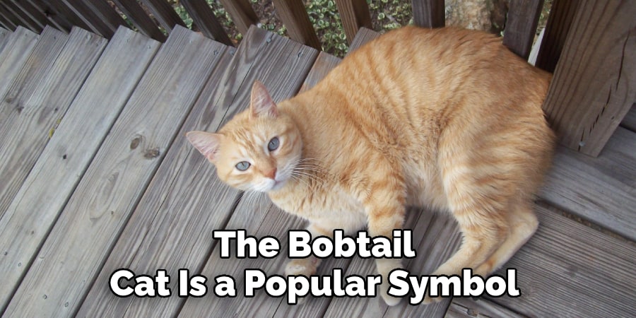 The Bobtail Cat Is a Popular Symbol