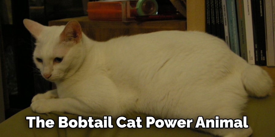 The Bobtail Cat Power Animal