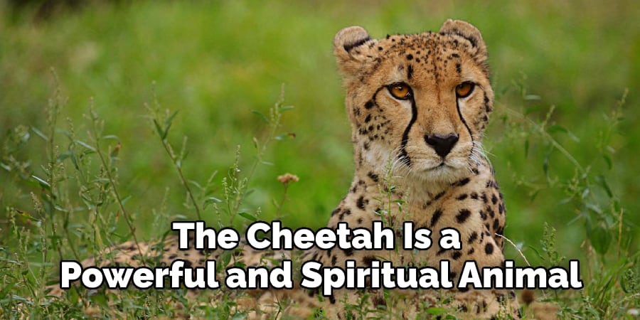 The Cheetah Is a Powerful and Spiritual Animal