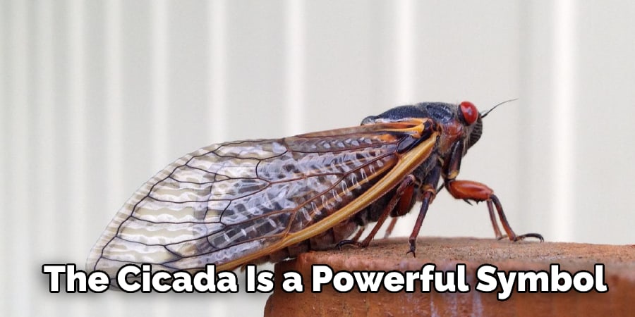 The Cicada Is a Powerful Symbol 
