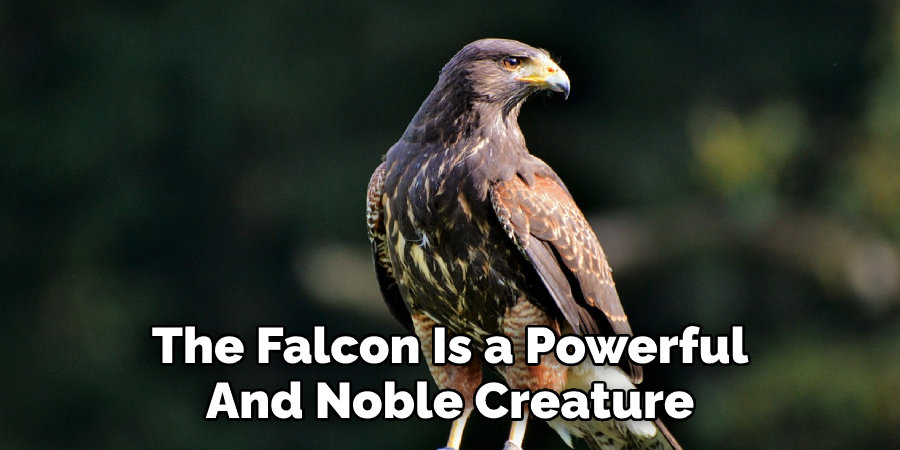 The Falcon Is a Powerful  And Noble Creature