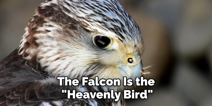 The Falcon Is the Heavenly Bird