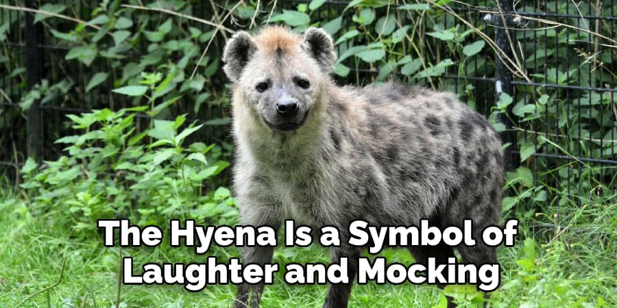 The Hyena Is a Symbol of Laughter and Mocking