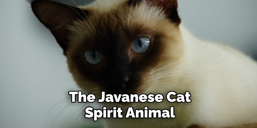 The Javanese Cat Spirit Animal