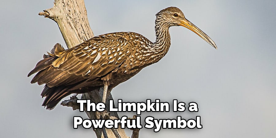The Limpkin Is a Powerful Symbol