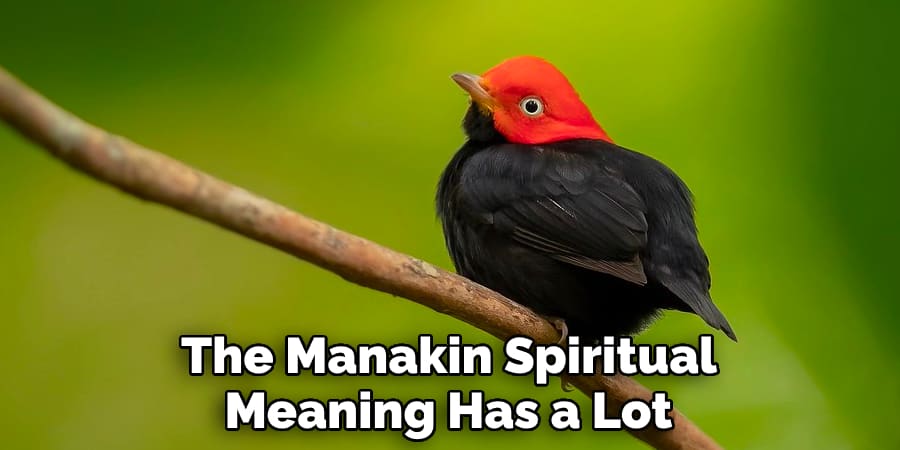 The Manakin Spiritual Meaning Has a Lot 