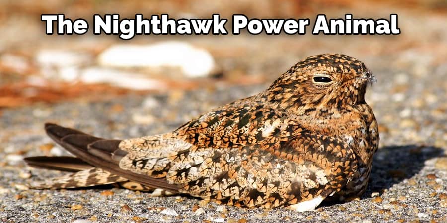 The Nighthawk Power Animal 